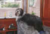 Ben_on_guard.jpg (269457 bytes)