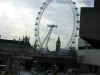 london eye.JPG (145584 bytes)