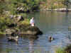 swimming_in_killarney_lake.jpg (459982 bytes)